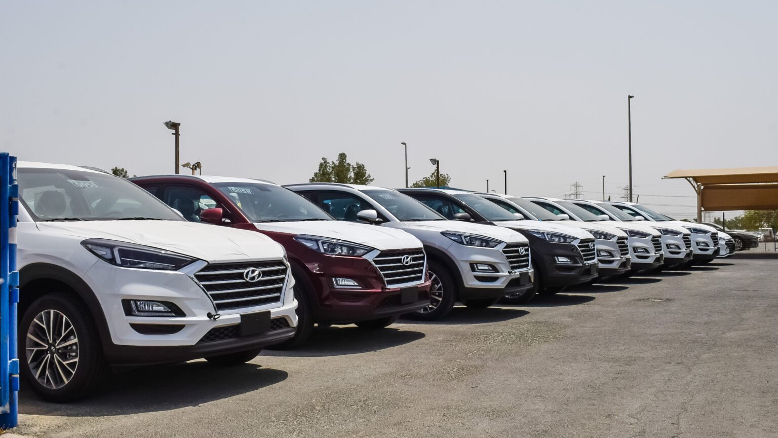 Rows of export-ready SUVs in a UAE vehicle yard